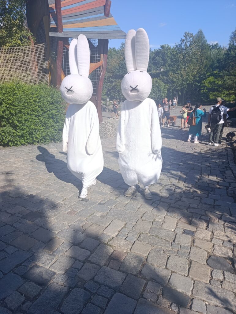 img 20260830 160143