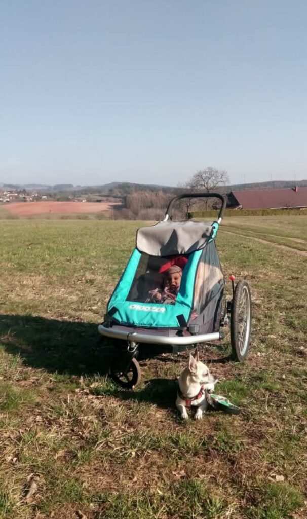 🧸 Když na cestách životem potkáme hračkového rebela: Jak pomoci dětem zvládnout šikanu a nenechat se zlomit img 20260817 185718